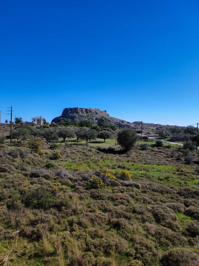 Agathi Paradise Apartment Charaki